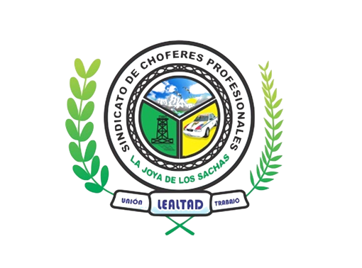 AULA VIRTUAL DE LA ESCUELA DE CONDUCTORES PROFESIONALES DEL SACHA